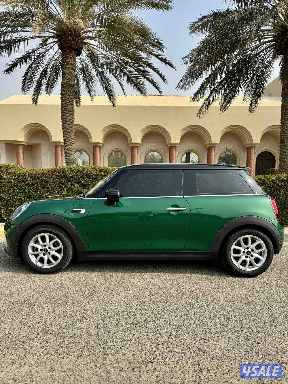 عداد قليل ،، صبغ الوكالة5