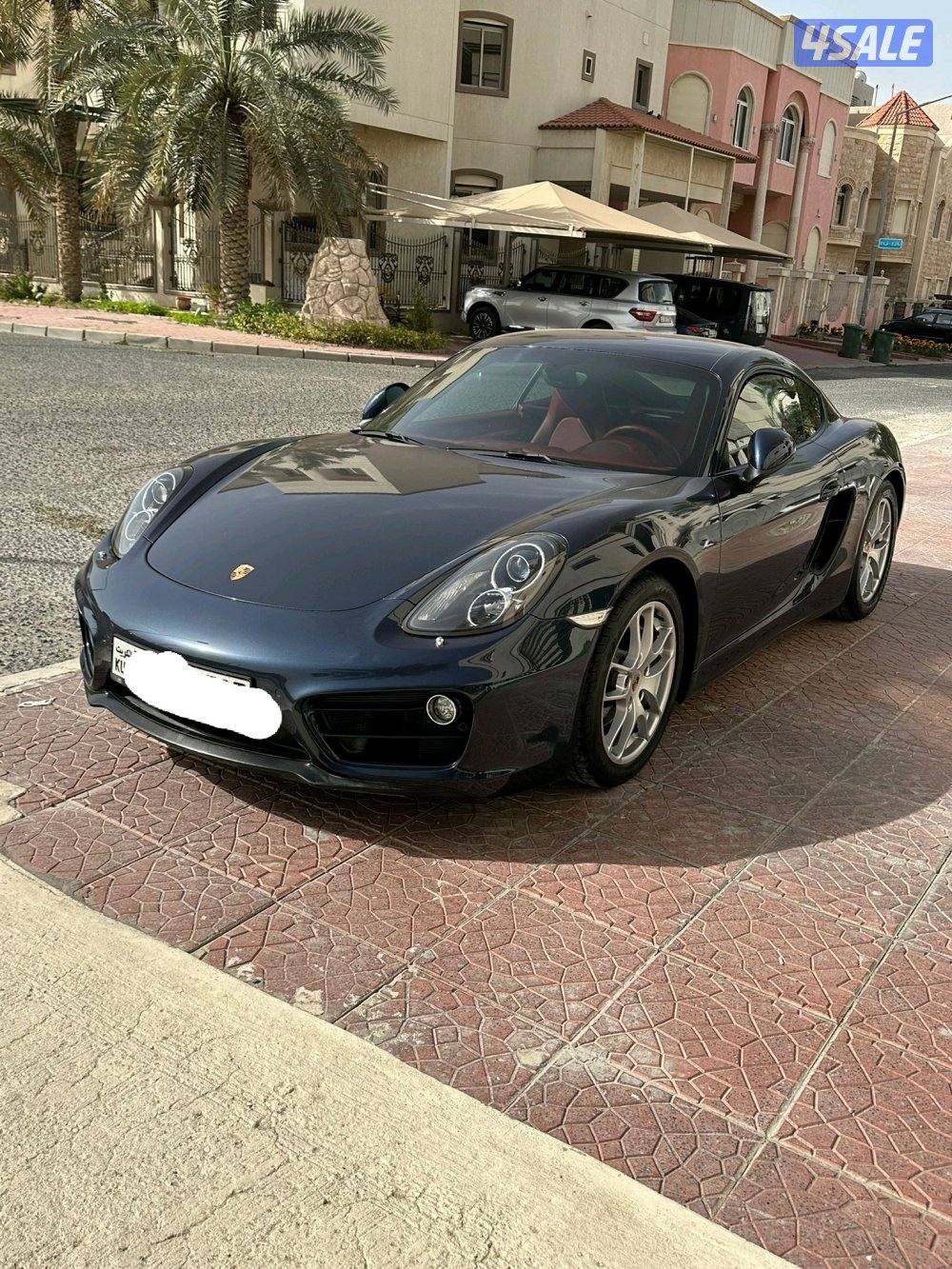 Cayman for sale0