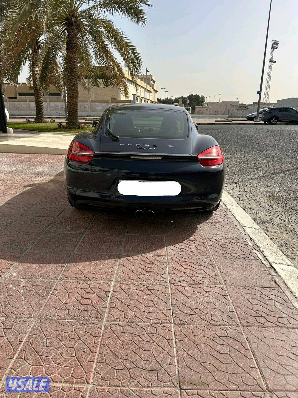 Cayman for sale8
