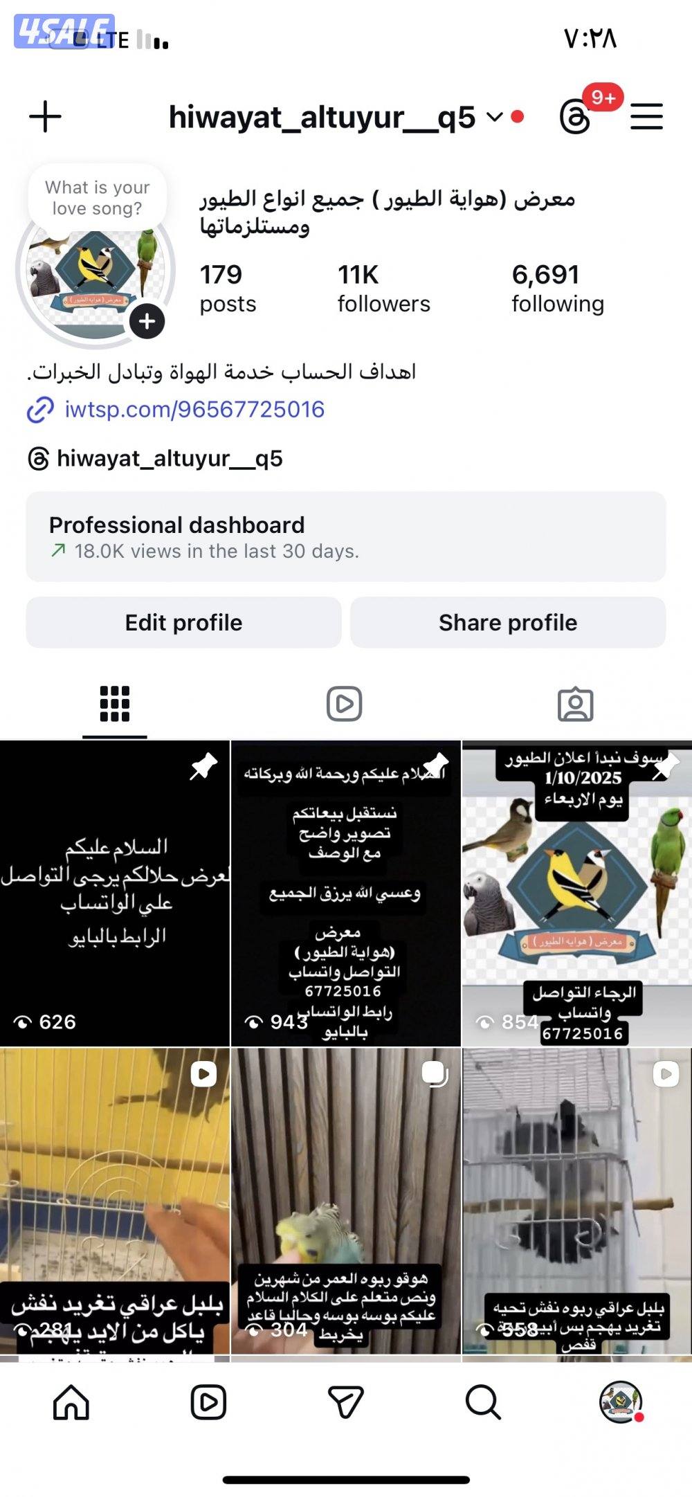 معرض هواية الطيور0