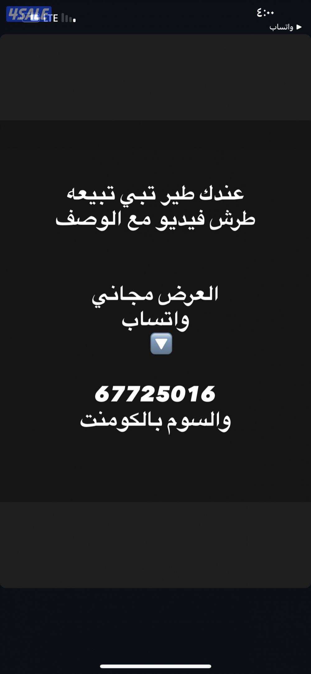 معرض هواية الطيور1