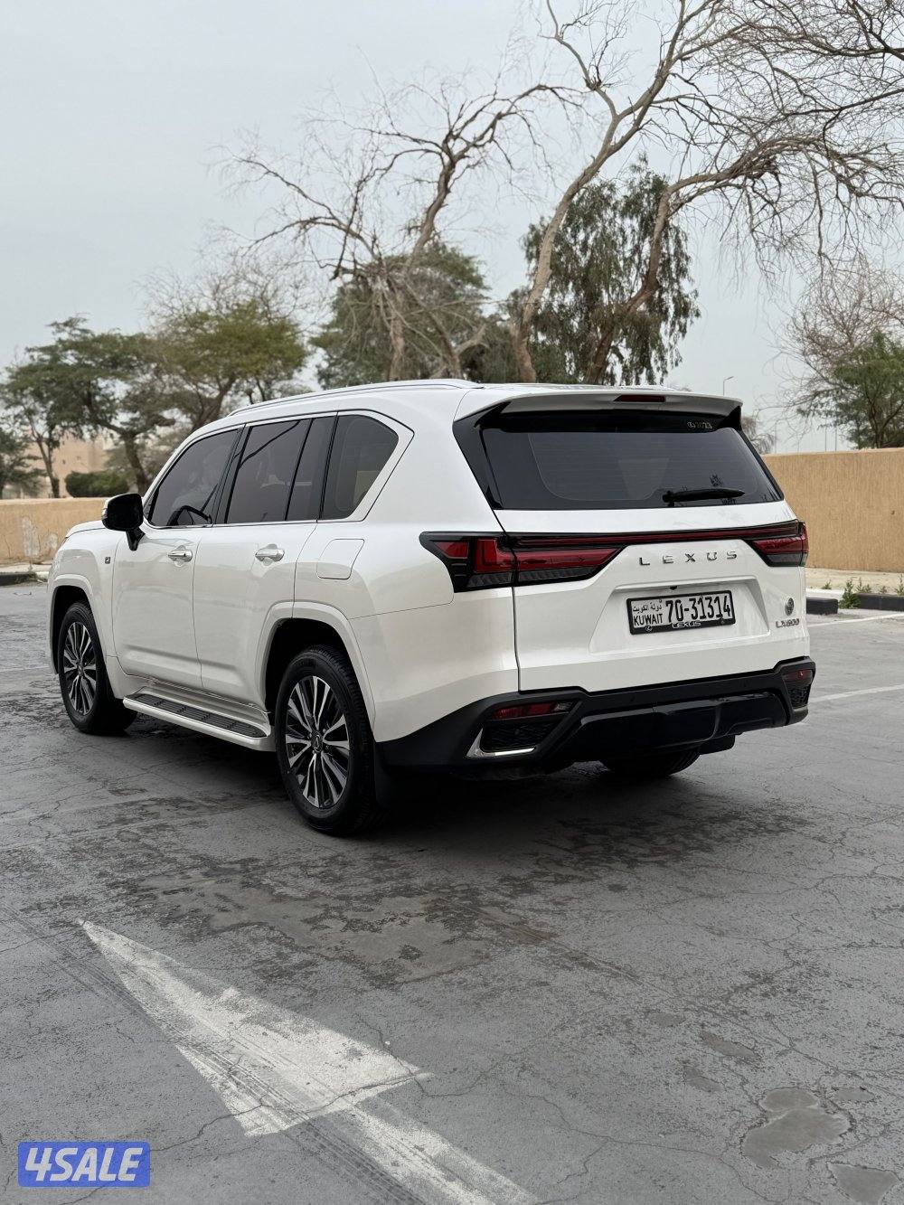 الساير .. صبغ الوكالة ماشي 491