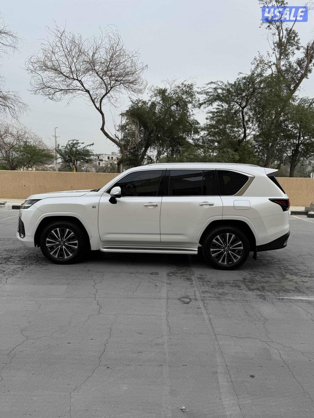 الساير .. صبغ الوكالة ماشي 492