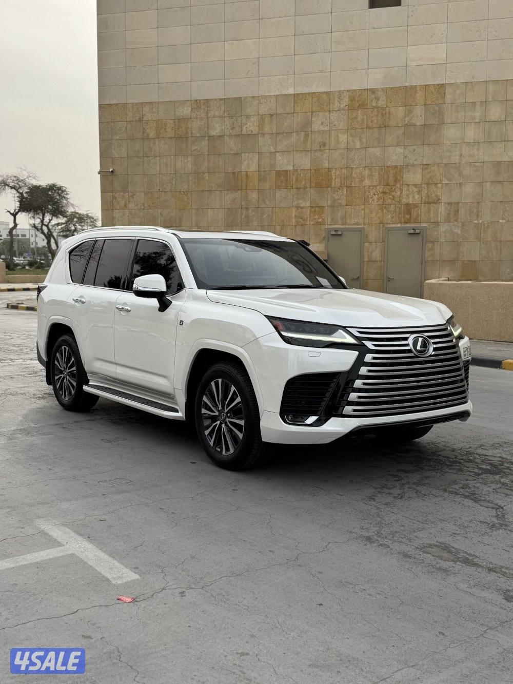 الساير .. صبغ الوكالة ماشي 494