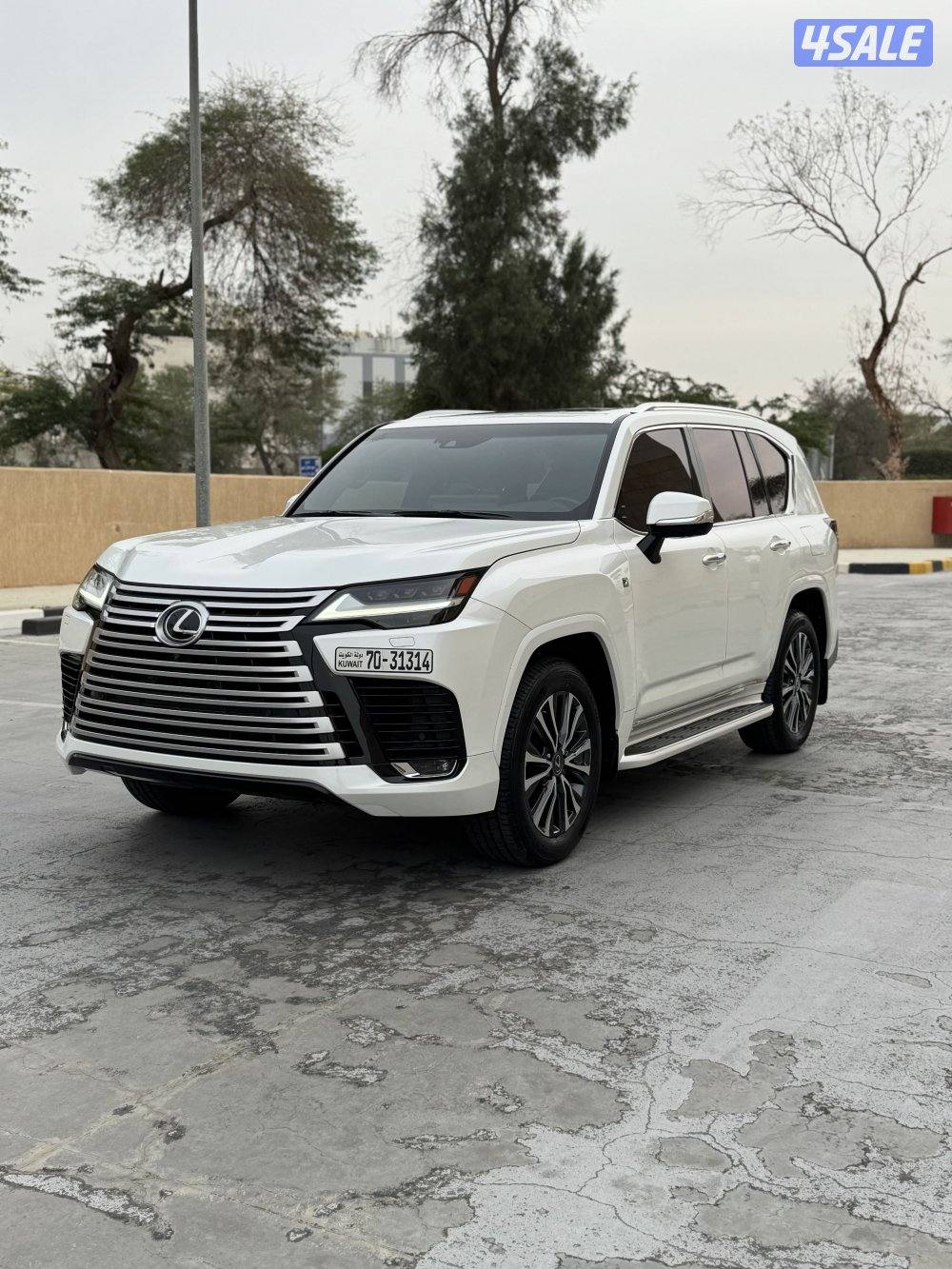 الساير .. صبغ الوكالة ماشي 497