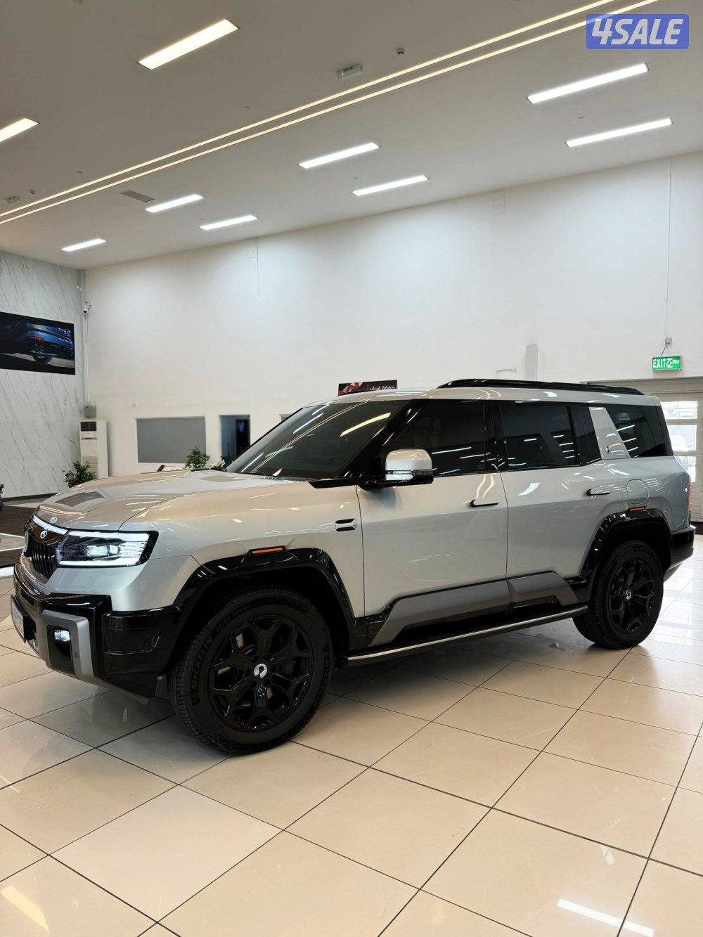 للبيع  BYD DENZA B81