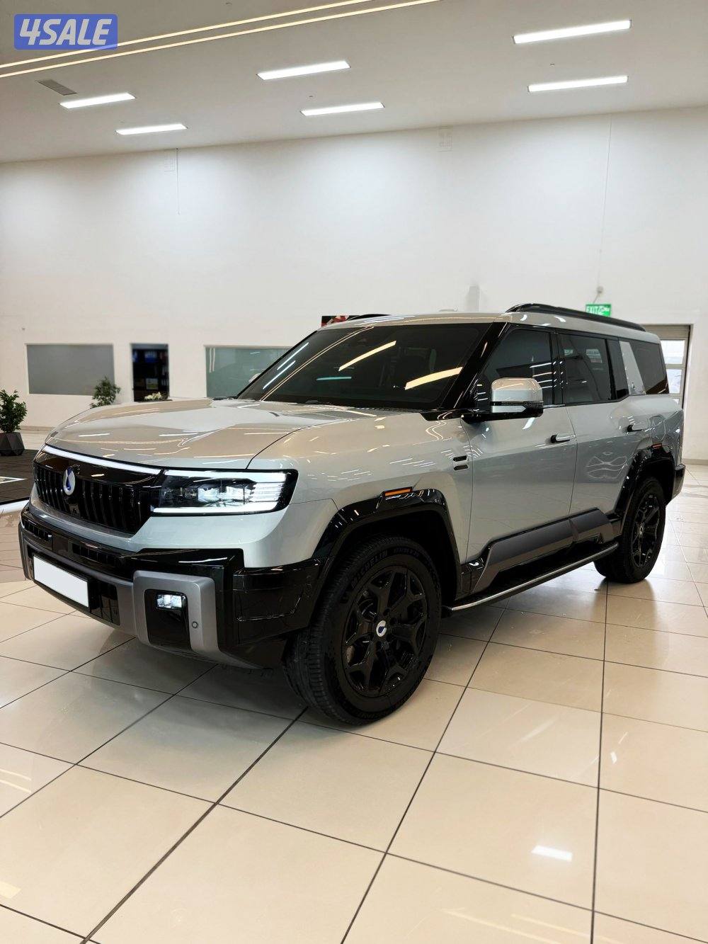 للبيع  BYD DENZA B82