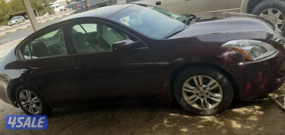 للبيع التيما نظيف2