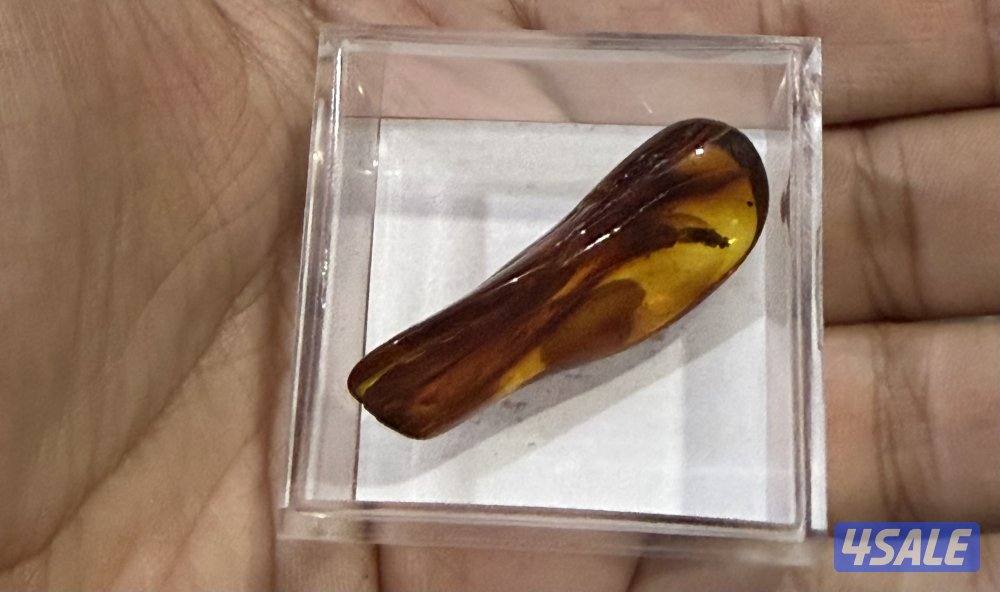 قطعة حجر كهرب محشر0