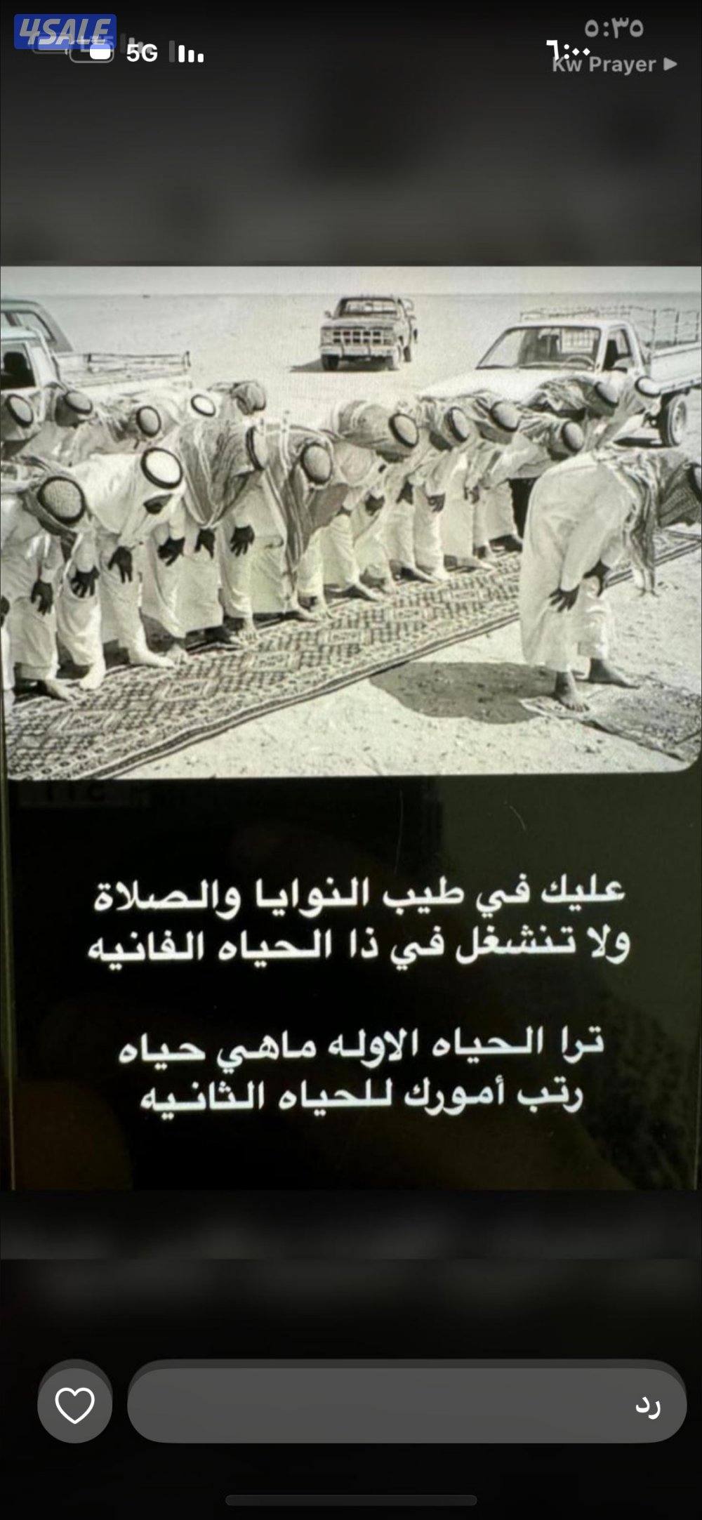 اسطبلات الفروانيه0