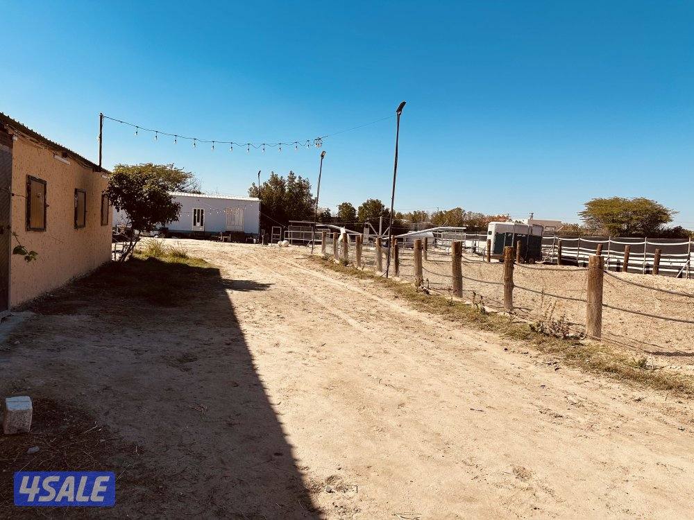 مربط جديد وعناية ممتازه عند ستاربكس ومستشفى الخيل🐎5