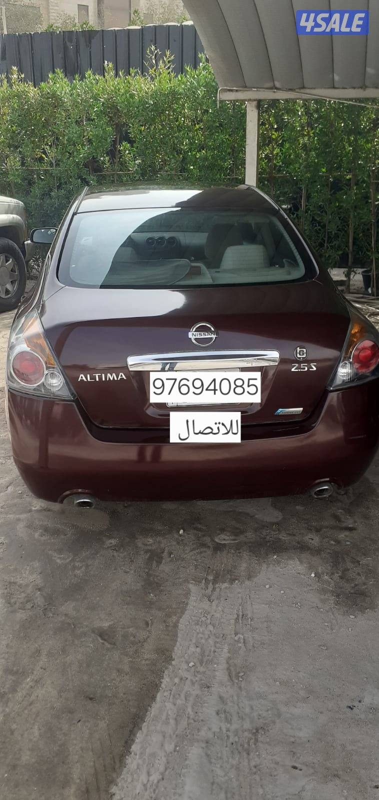 للبيع التيما نظيف0