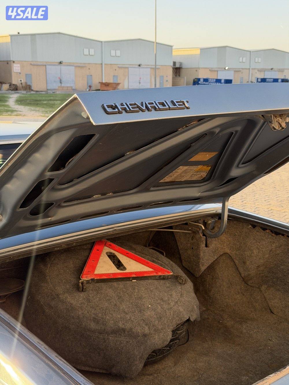 شفر كابرس 19904