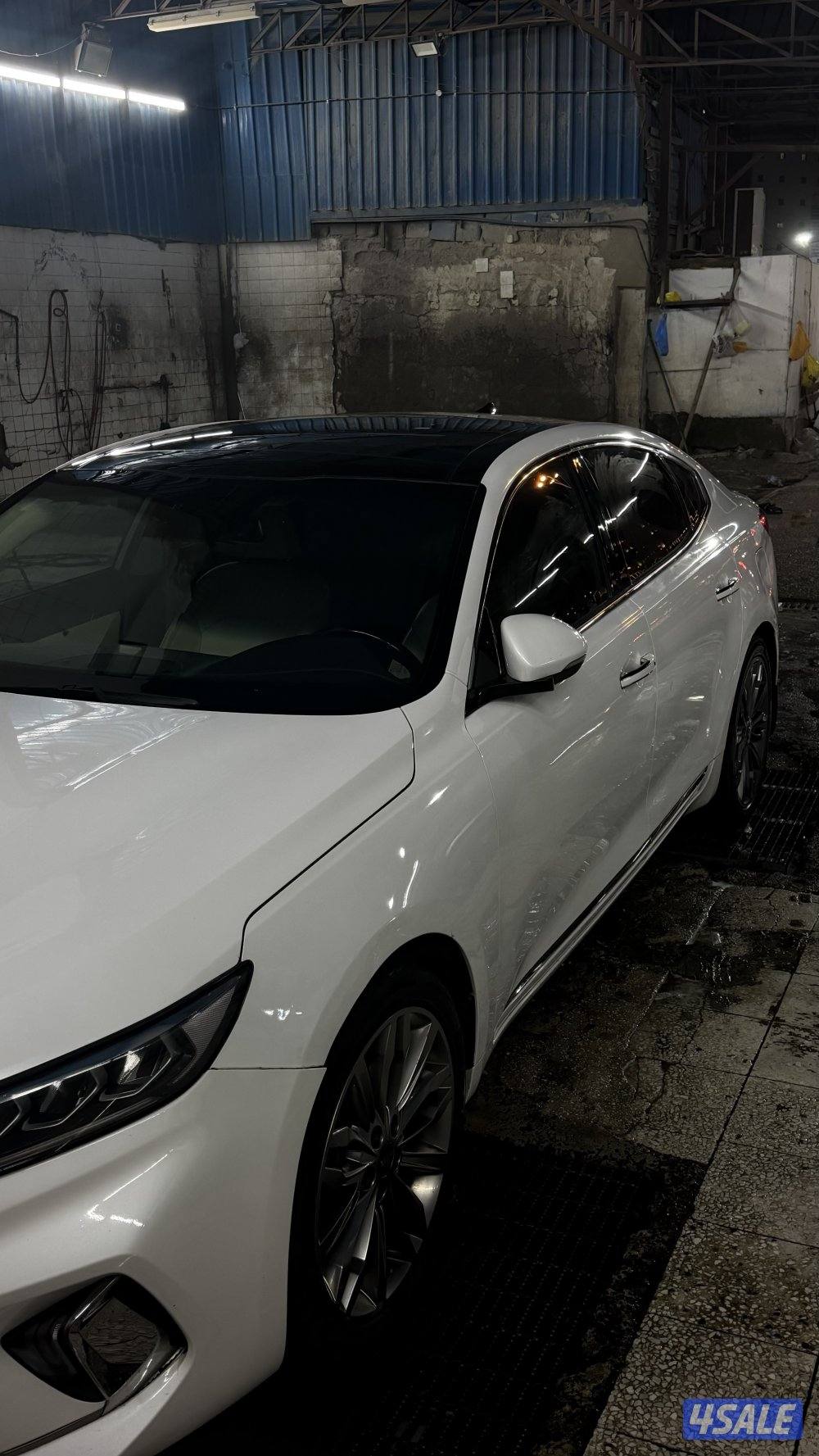 كادنزا فل كامل ابيض صدفي1