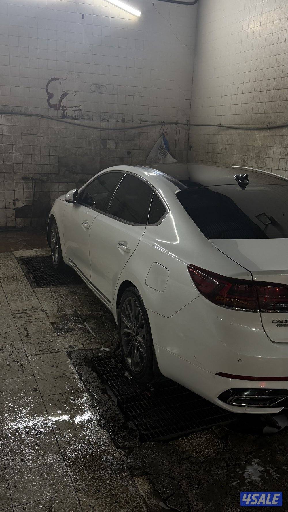 كادنزا فل كامل ابيض صدفي4