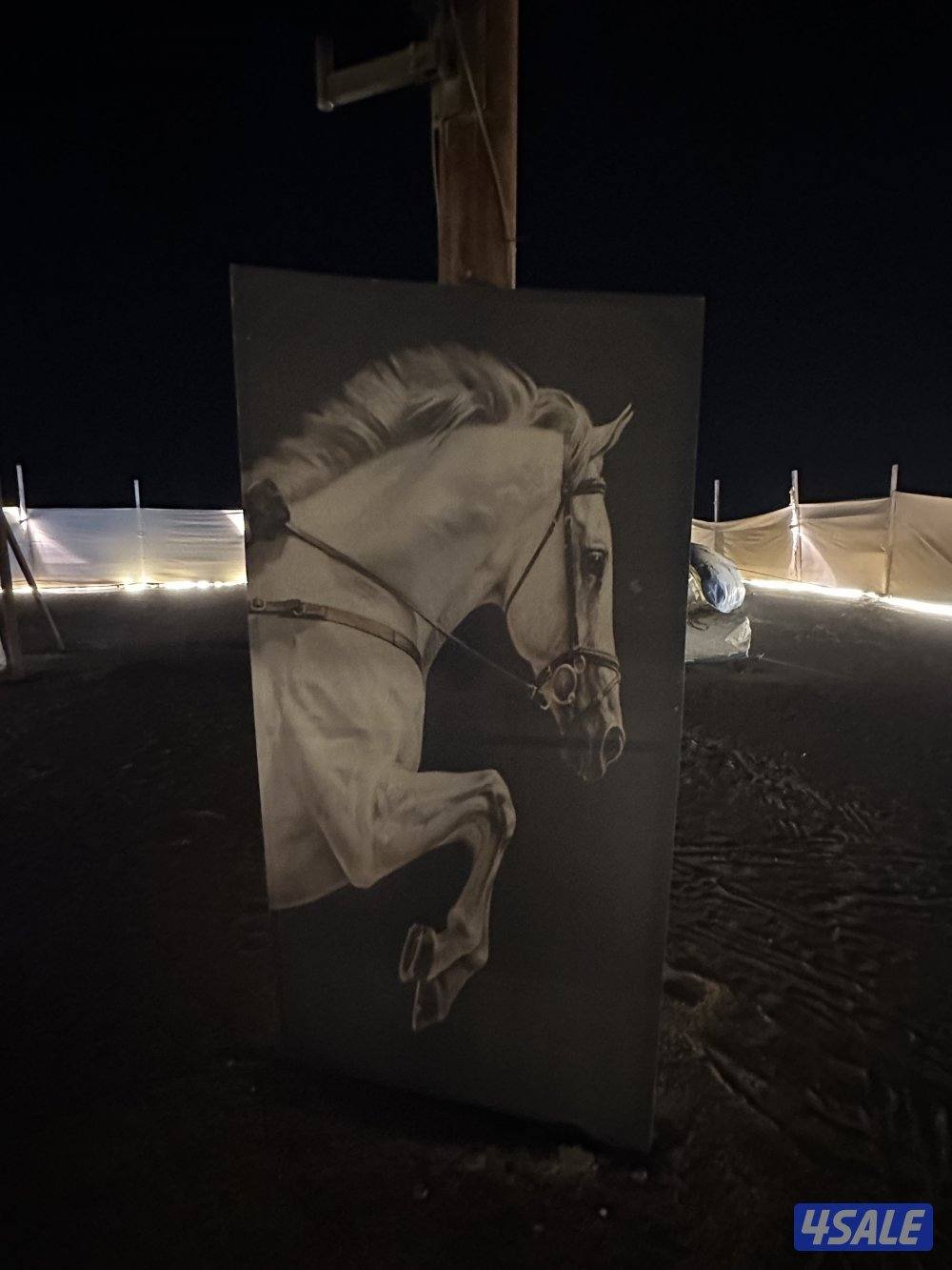 للبيع مشروع مربح كشتتين كاسر بسعرهم فرصه للمستثمرين✅15