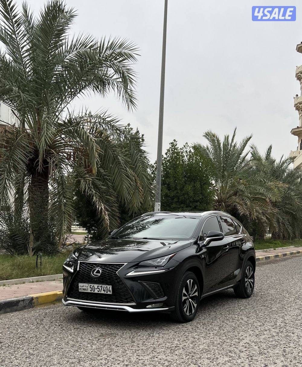 NX300 F sport 20180