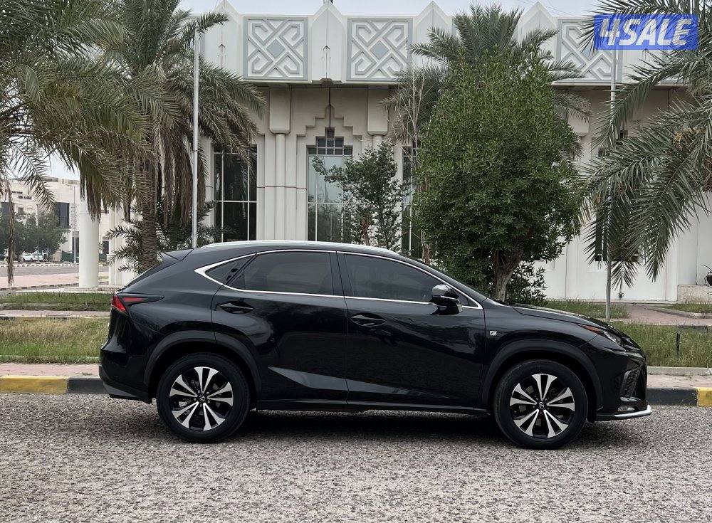 NX300 F sport 20183