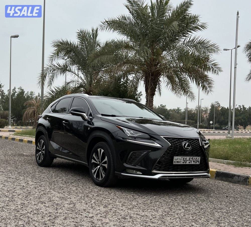 NX300 F sport 20184