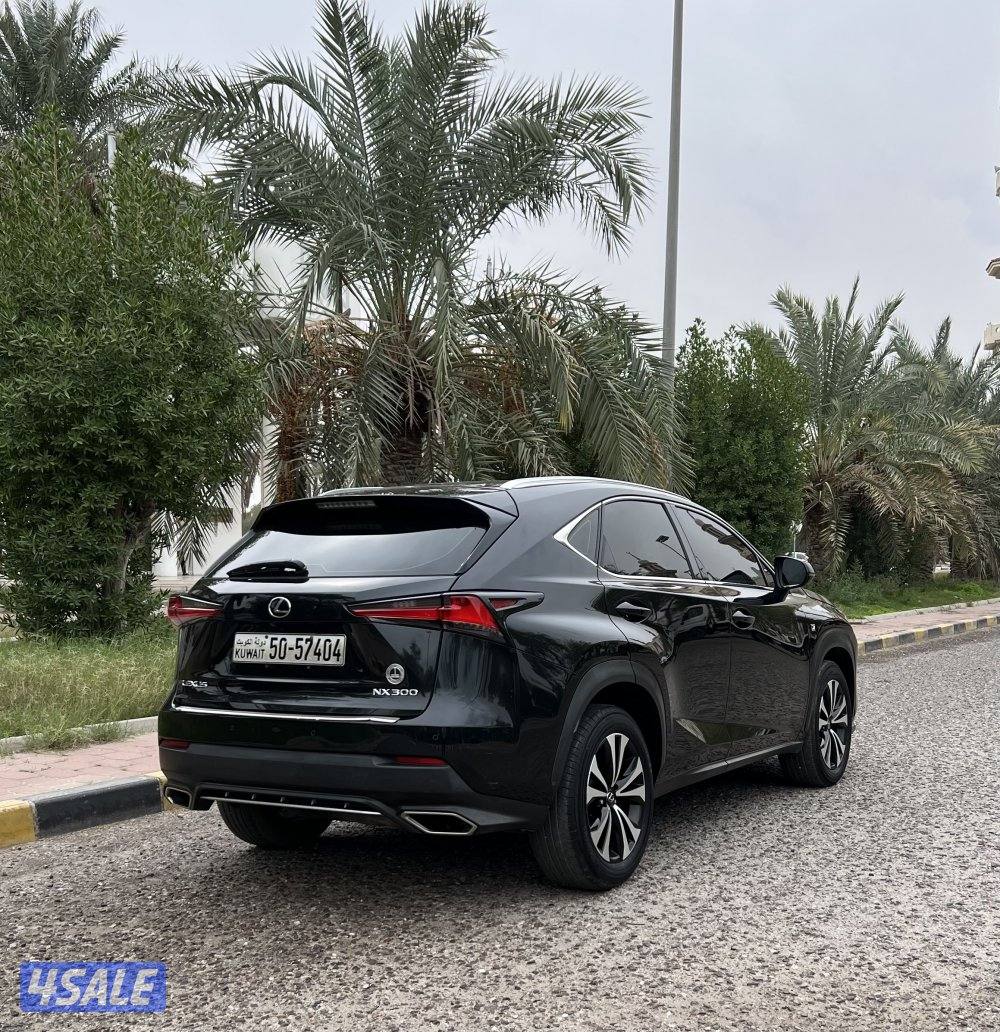 NX300 F sport 20185