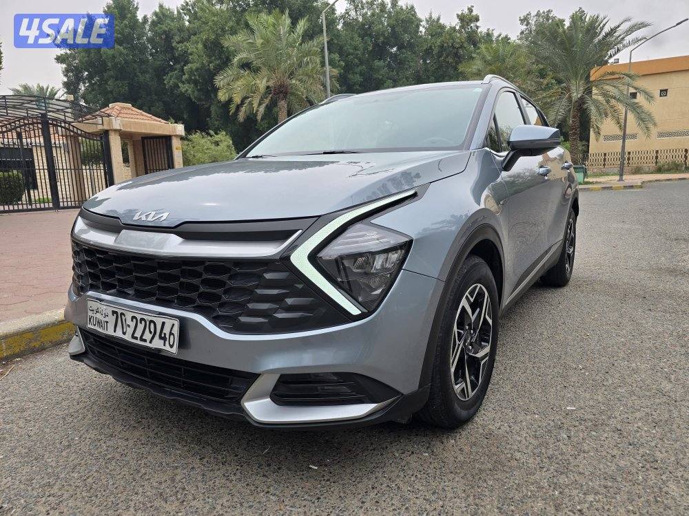 ‏📌صبغة الوكالة تحت الكفالة7