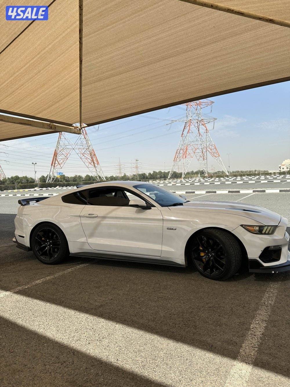 موستنق قير عادي 20151