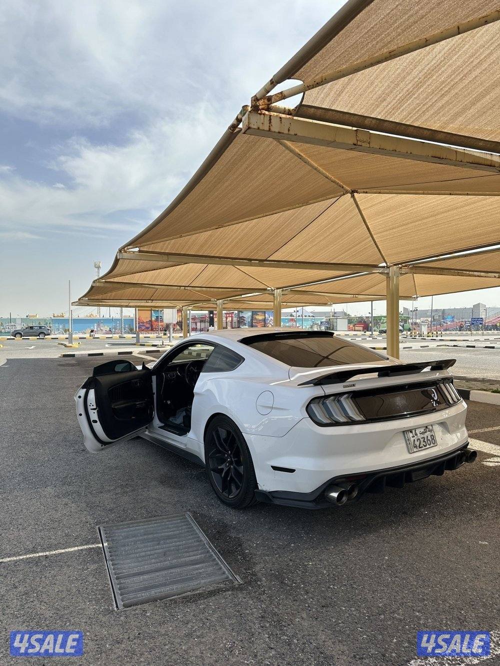 موستنق قير عادي 20153