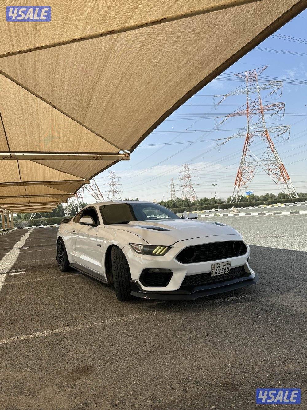 موستنق قير عادي 20154