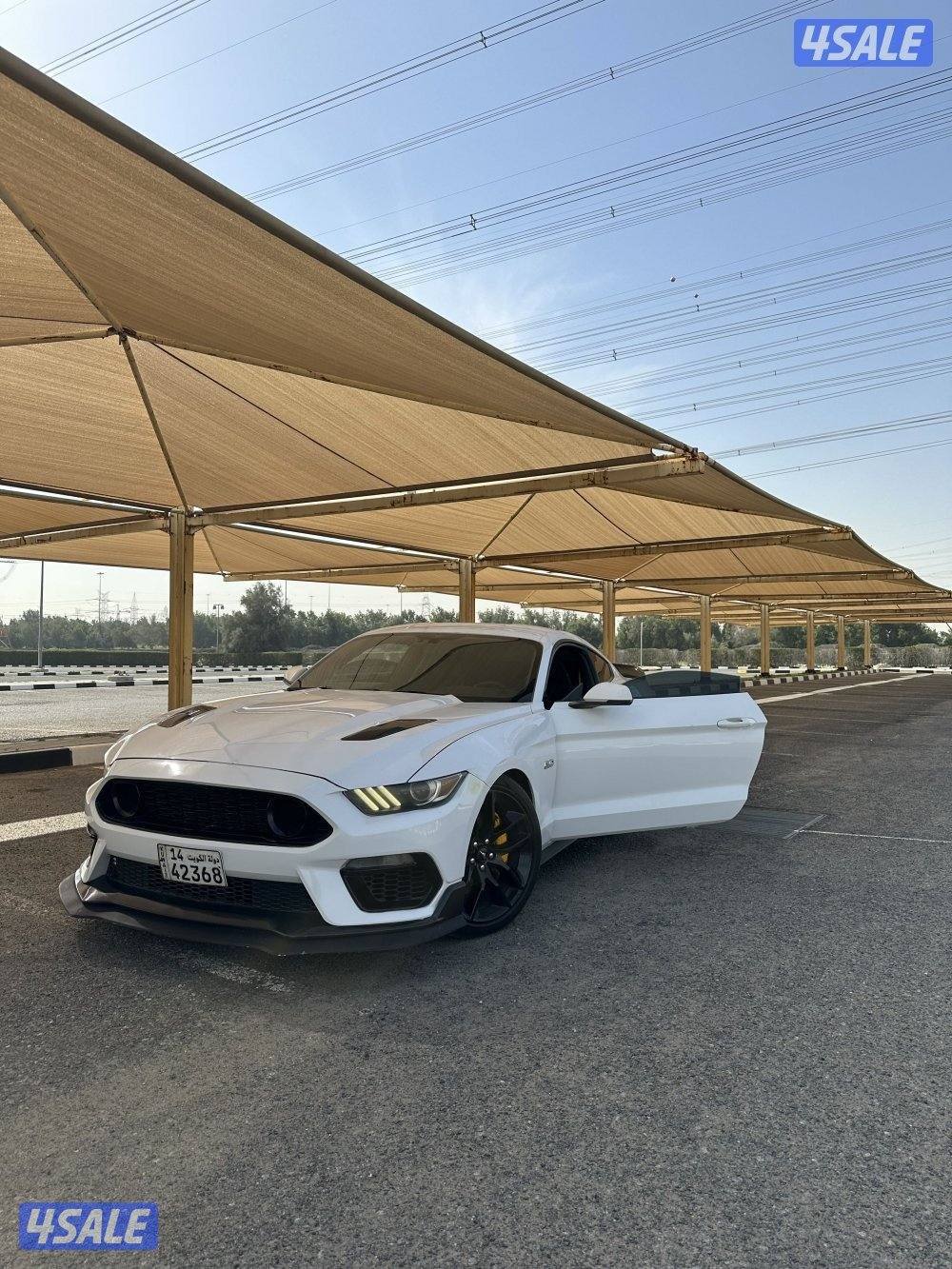 موستنق قير عادي 20156