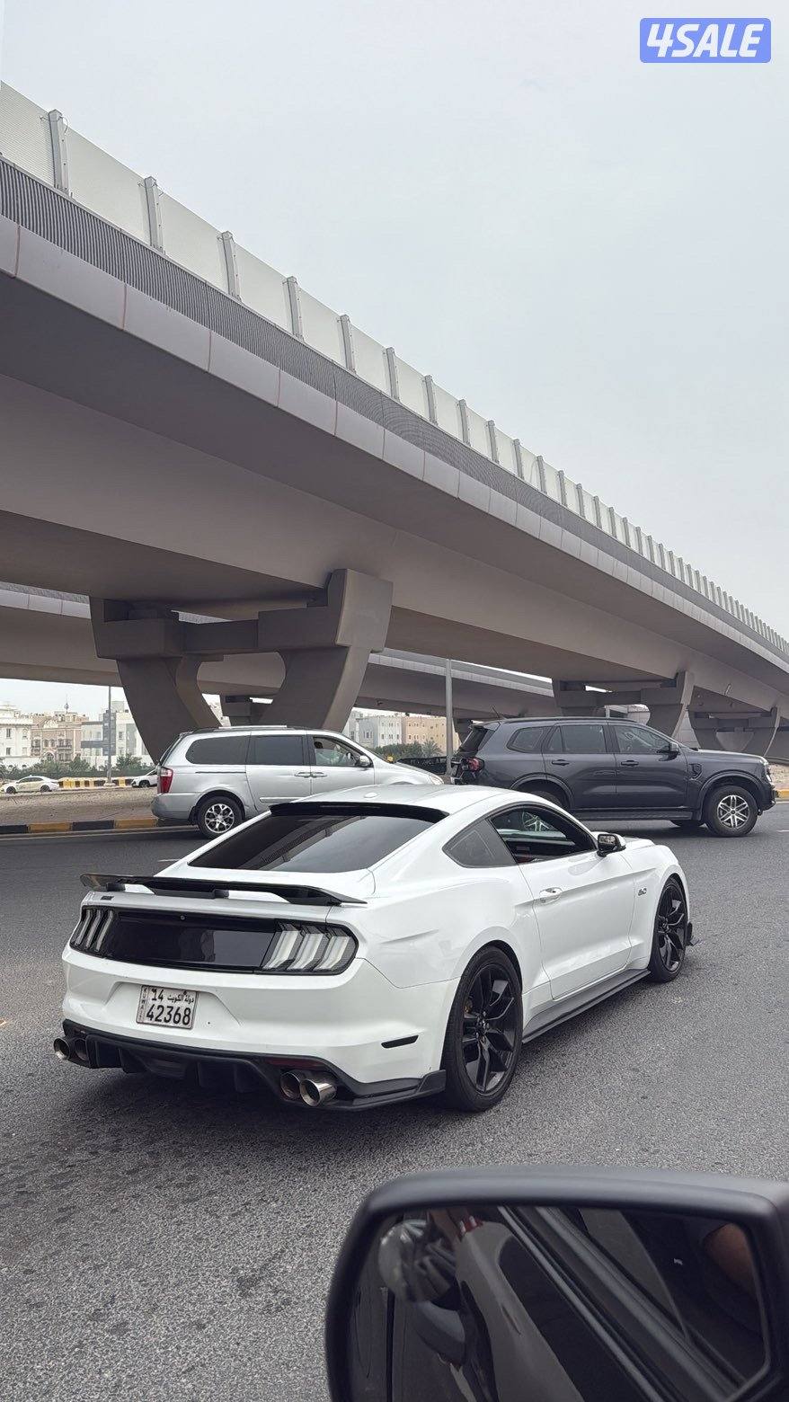 موستنق قير عادي 20157