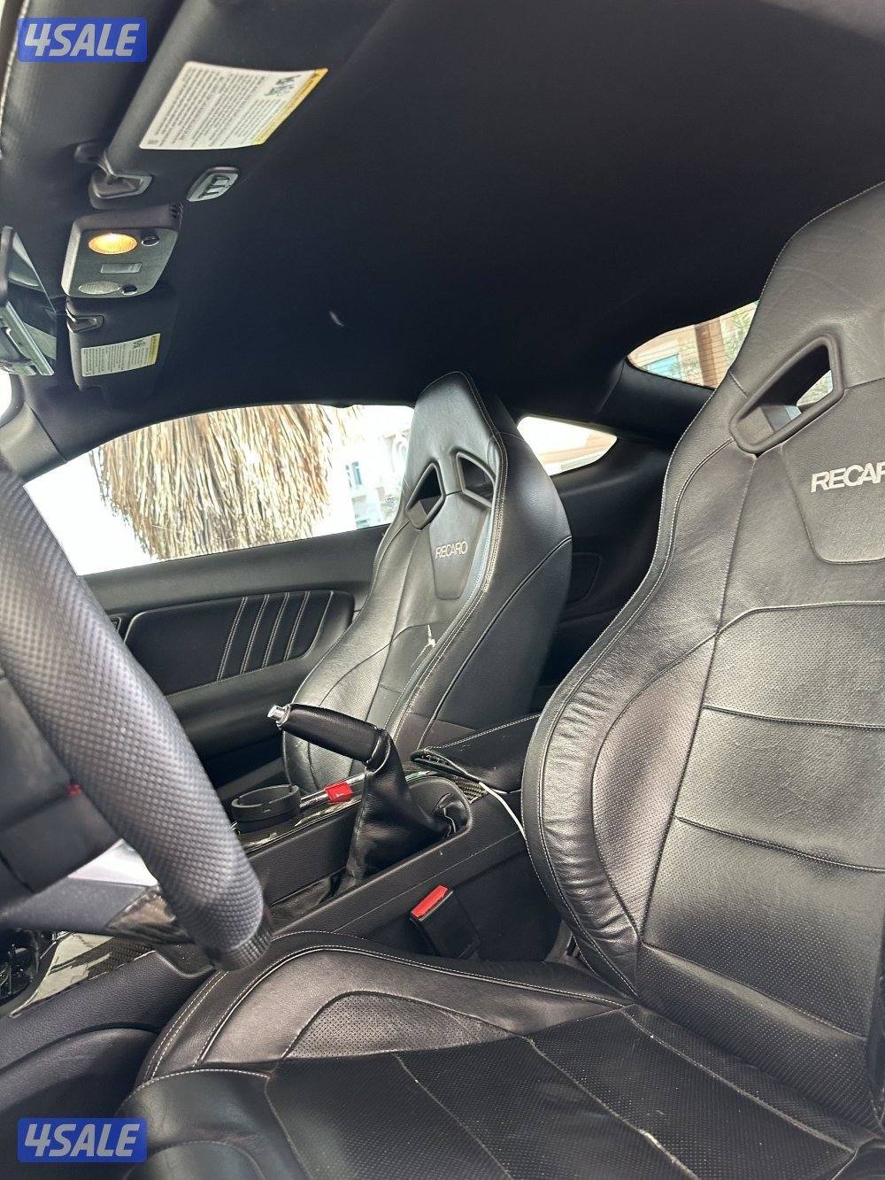 موستنق قير عادي 20158