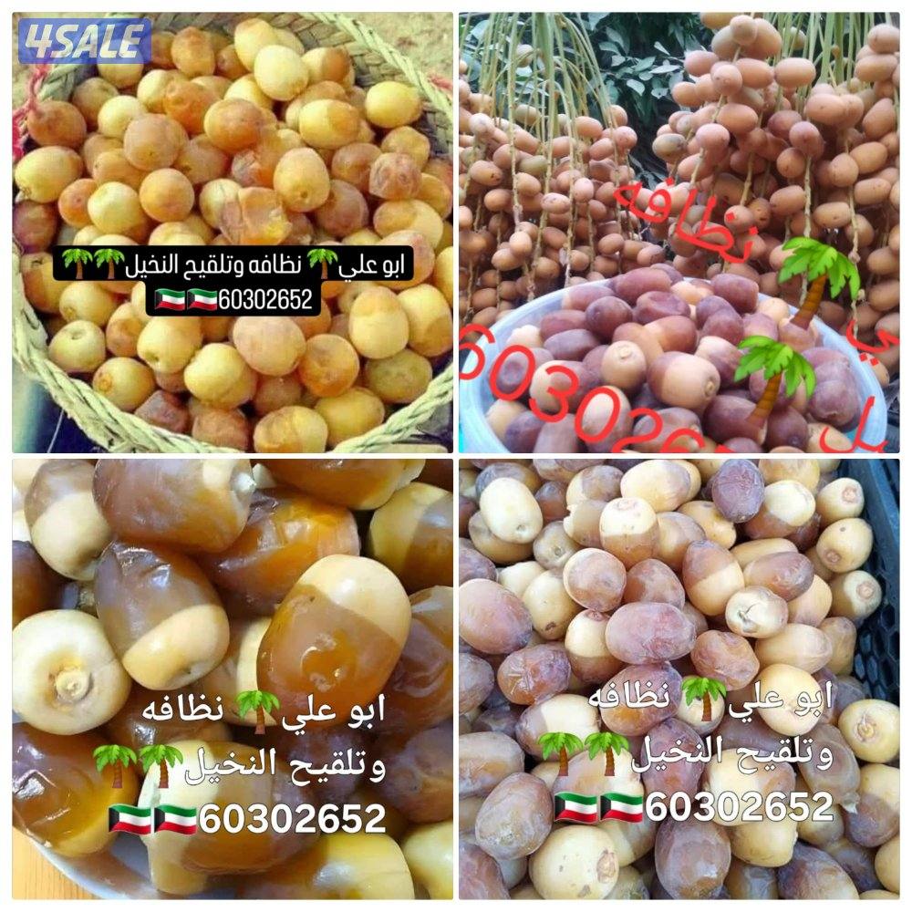 🌴ابو على 🌴 ‏ جميع نظافه النخيل 🌴جميع ☘️قص 🎄الاشجار🌳 خبره 20 عام ا5