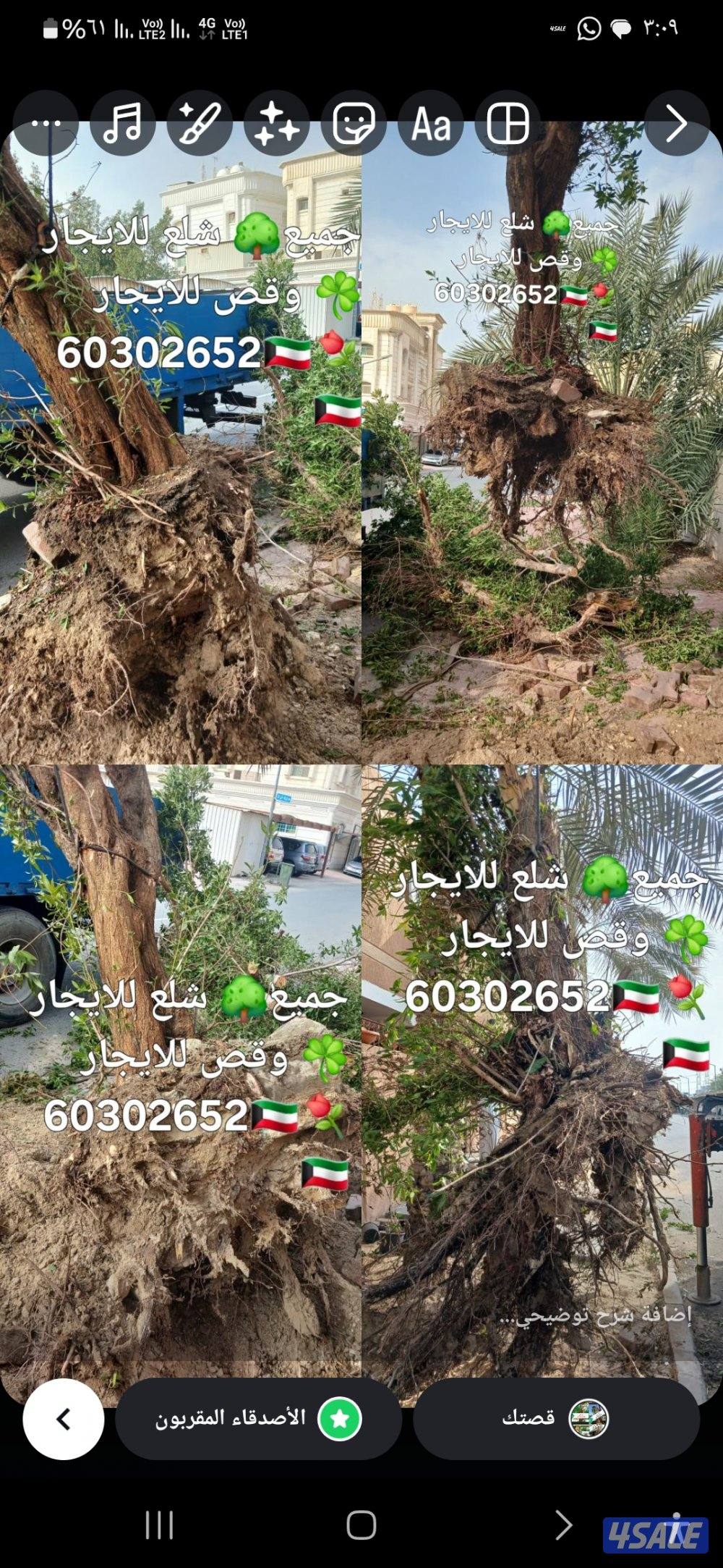 🌴ابو على 🌴 ‏ جميع نظافه النخيل 🌴جميع ☘️قص 🎄الاشجار🌳 خبره 20 عام ا6