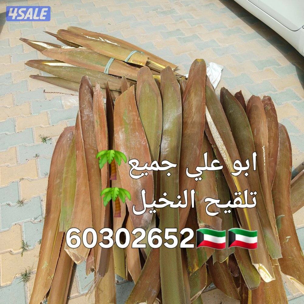🌴ابو على 🌴 ‏ جميع نظافه النخيل 🌴جميع ☘️قص 🎄الاشجار🌳 خبره 20 عام ا10