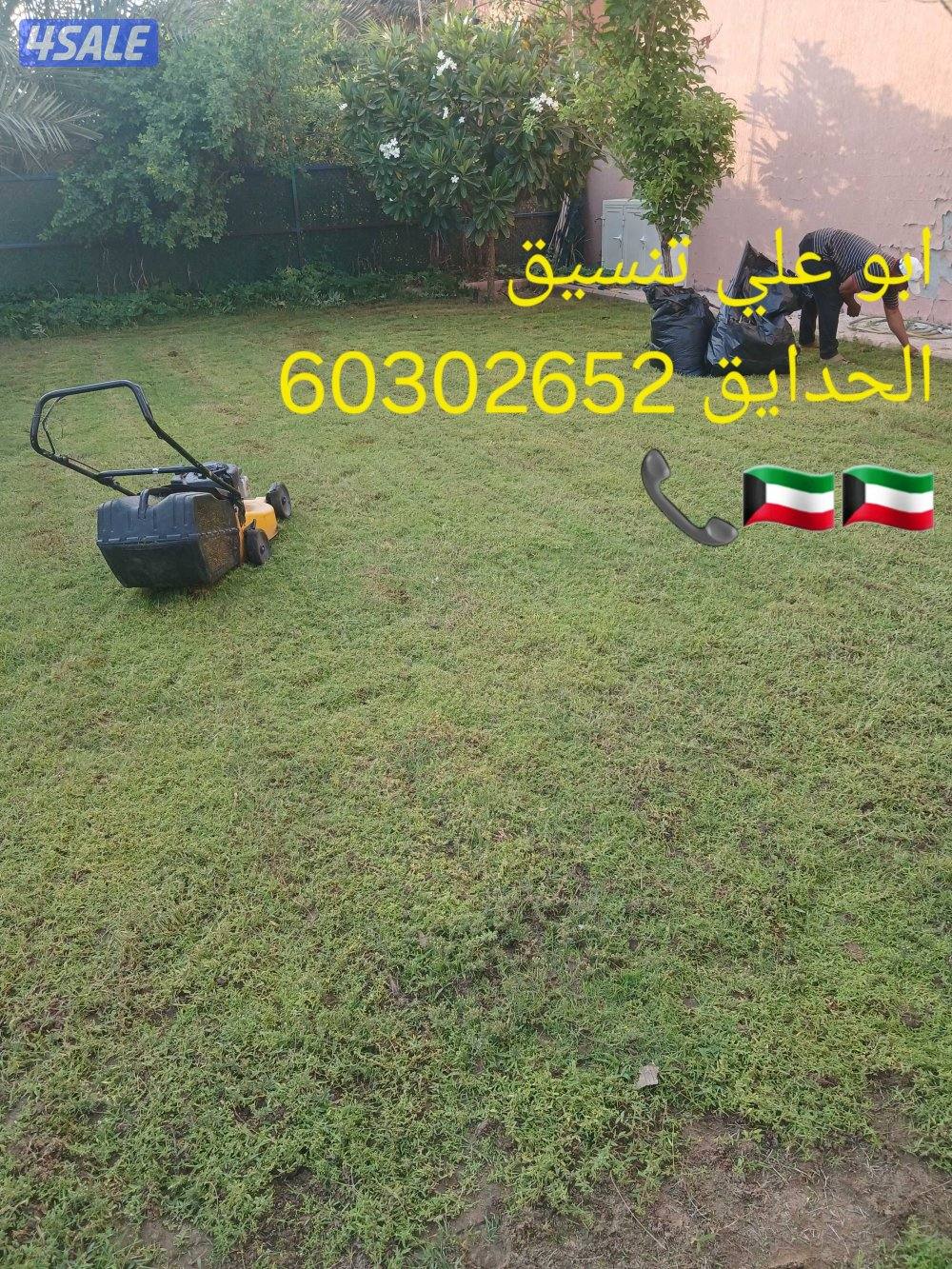 🌴ابو على 🌴 ‏ جميع نظافه النخيل 🌴جميع ☘️قص 🎄الاشجار🌳 خبره 20 عام ا11