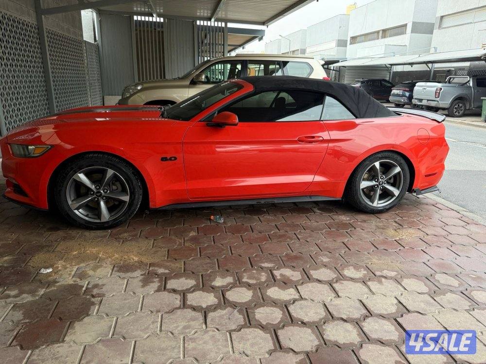 موستنق ٢٠١٦ وارد امريكا2