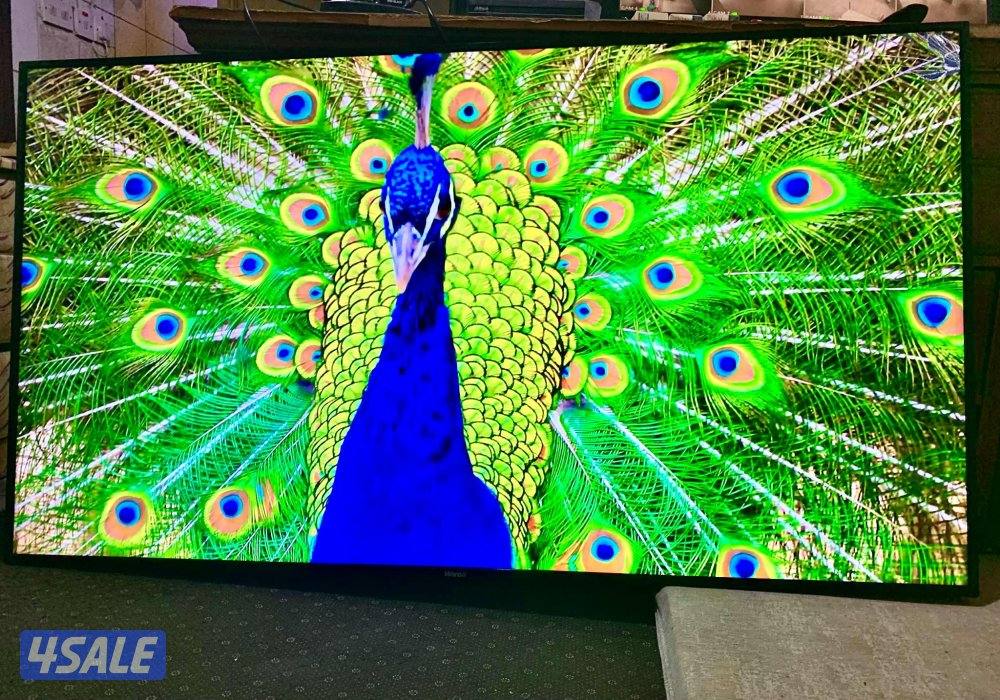 شاشه ونسا 75 بوصه سمارت اقراء الوصف1