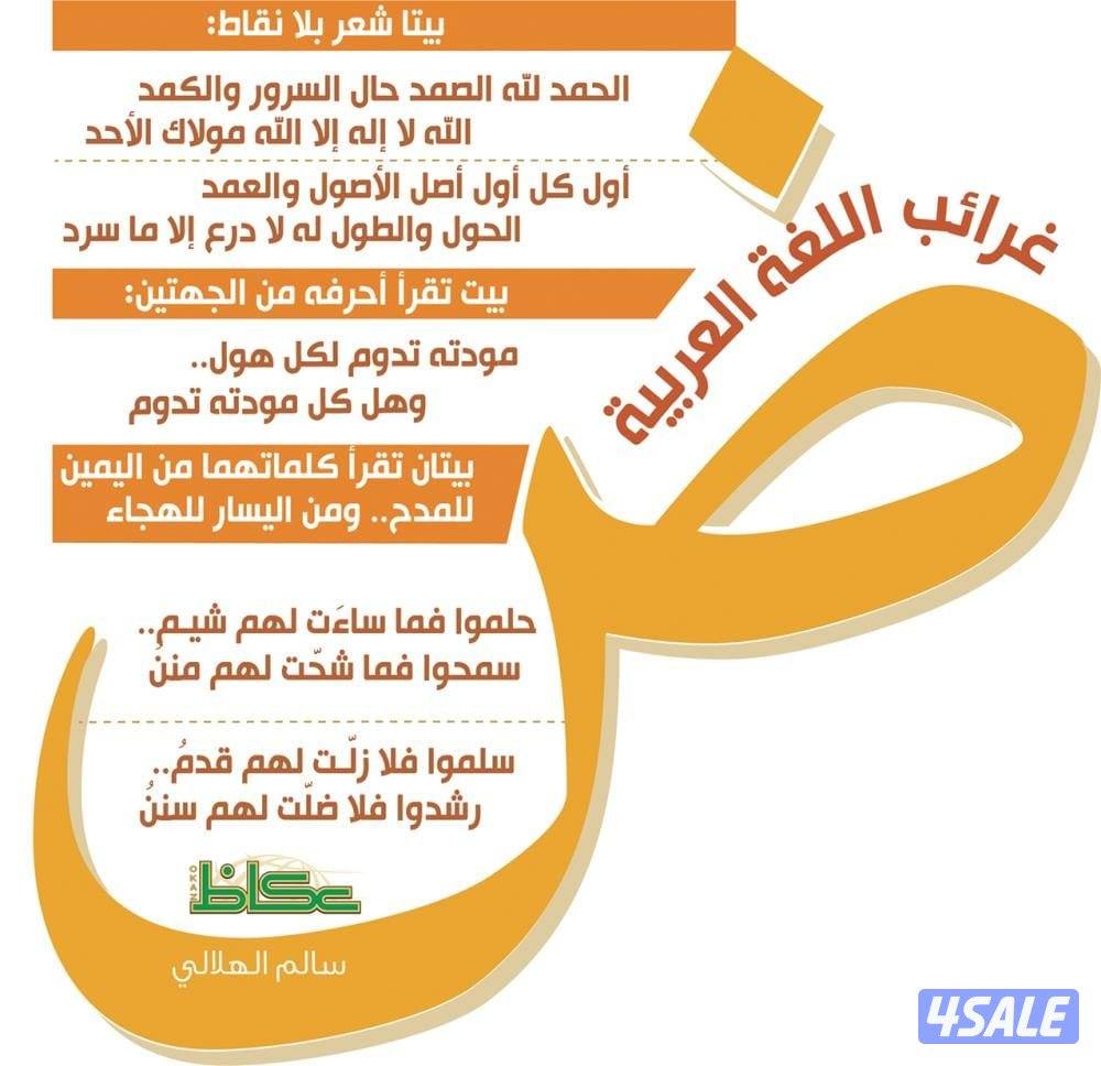 لغتنا العربية من منظور سهل وبسيط1