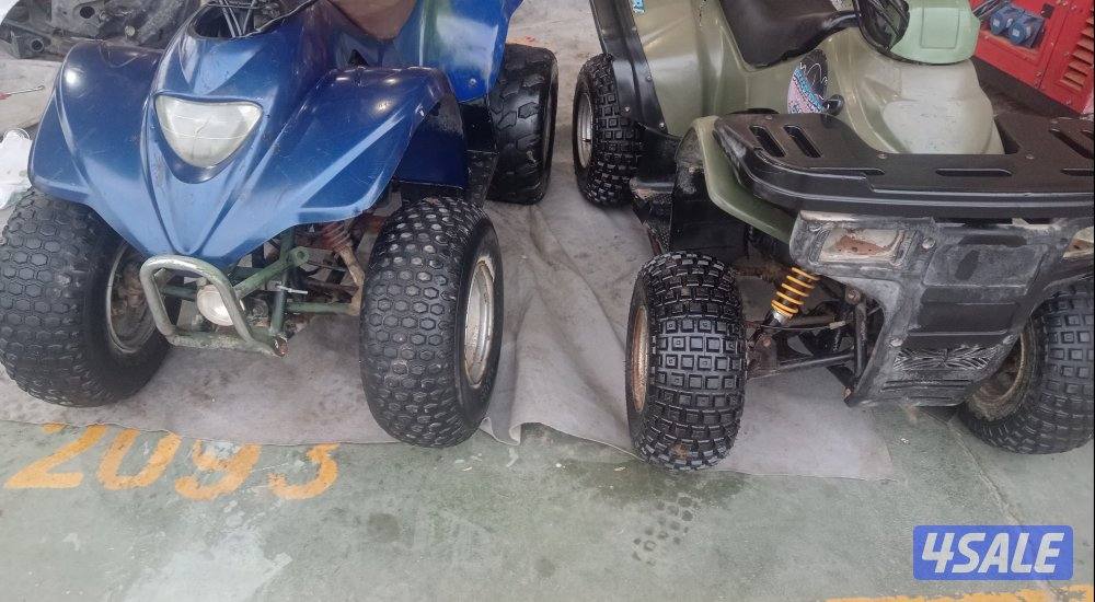 اصليين تايوان اصلي0