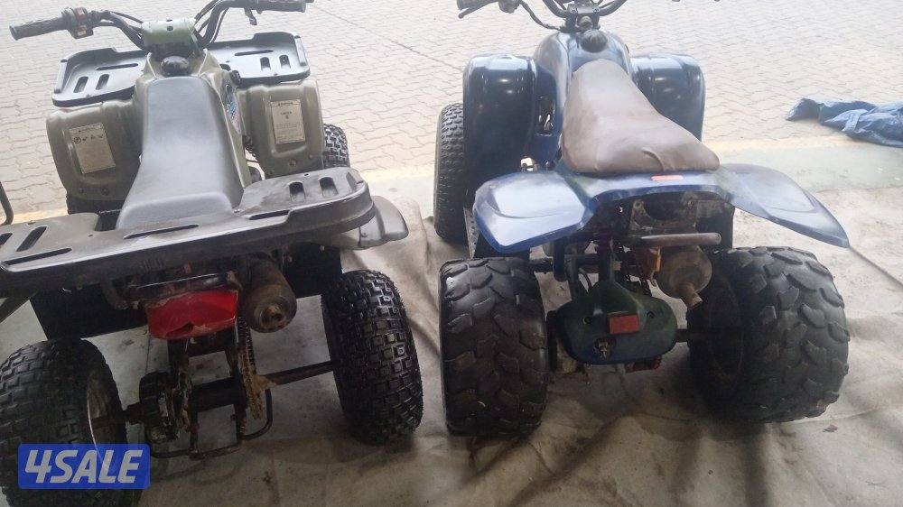 اصليين تايوان اصلي6