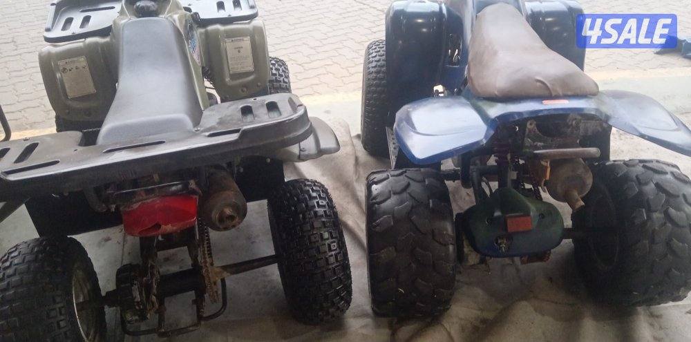 اصليين تايوان اصلي8