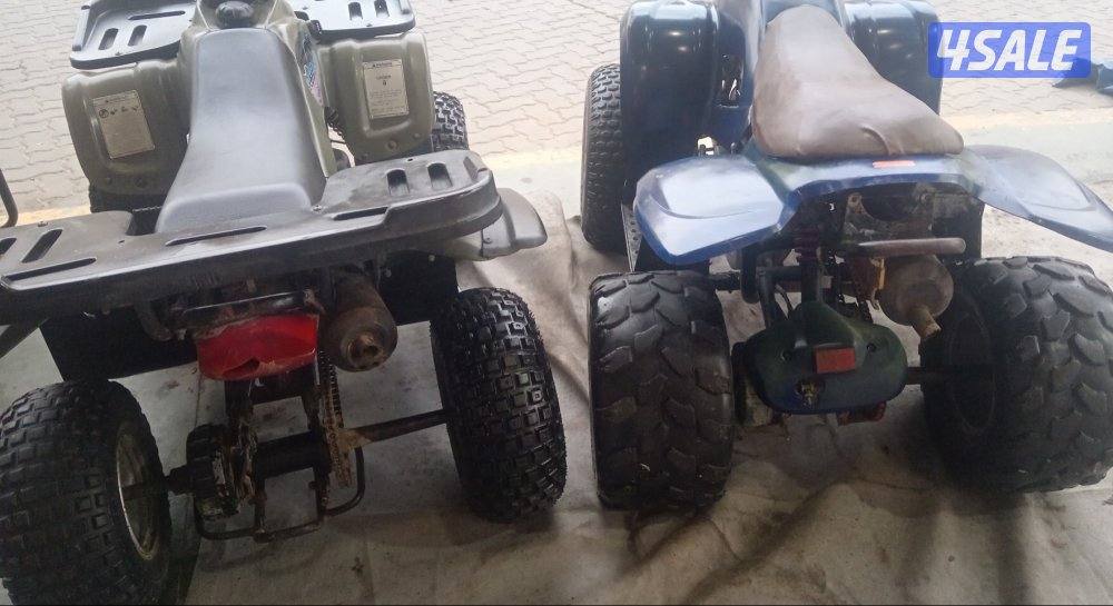 اصليين تايوان اصلي7