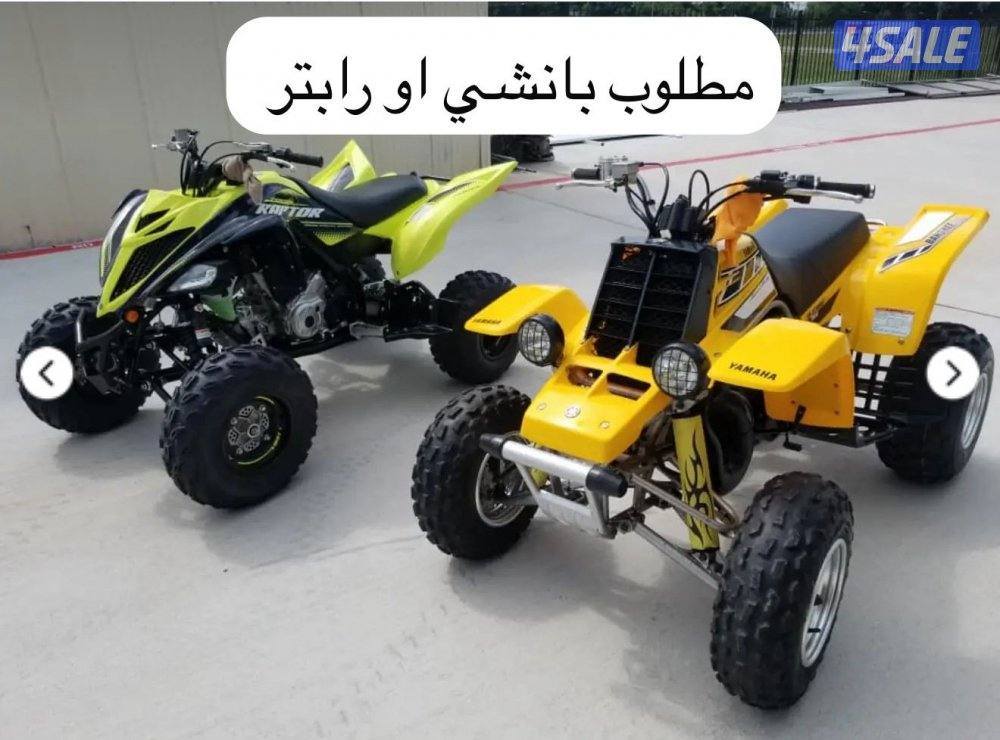 مطلوب بانشي او رابتر0