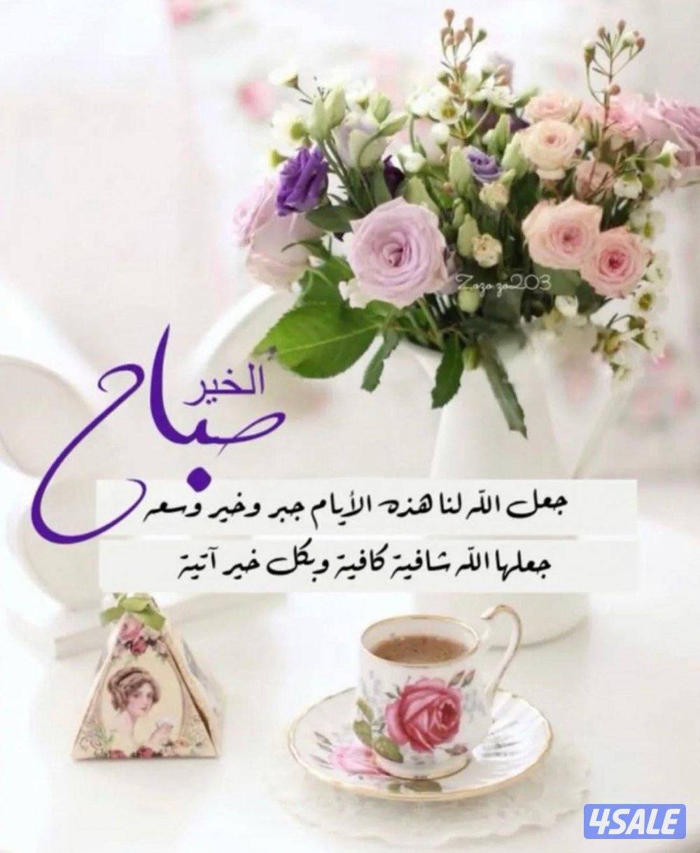 مدرسة لغة عربية للمرحلة الابتدائية والمتوسطة والثانوية0