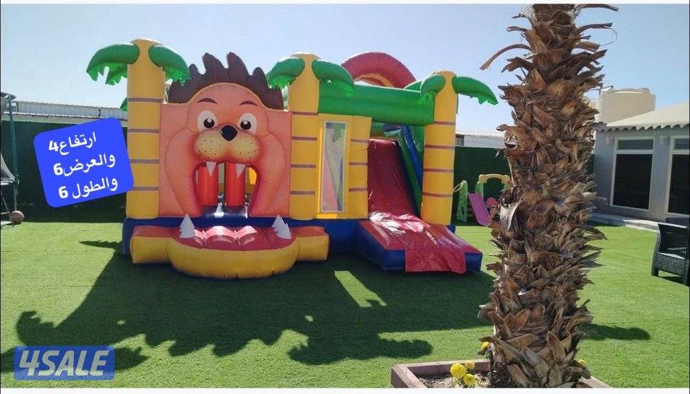 عرووض جواخير جبد والهجن1