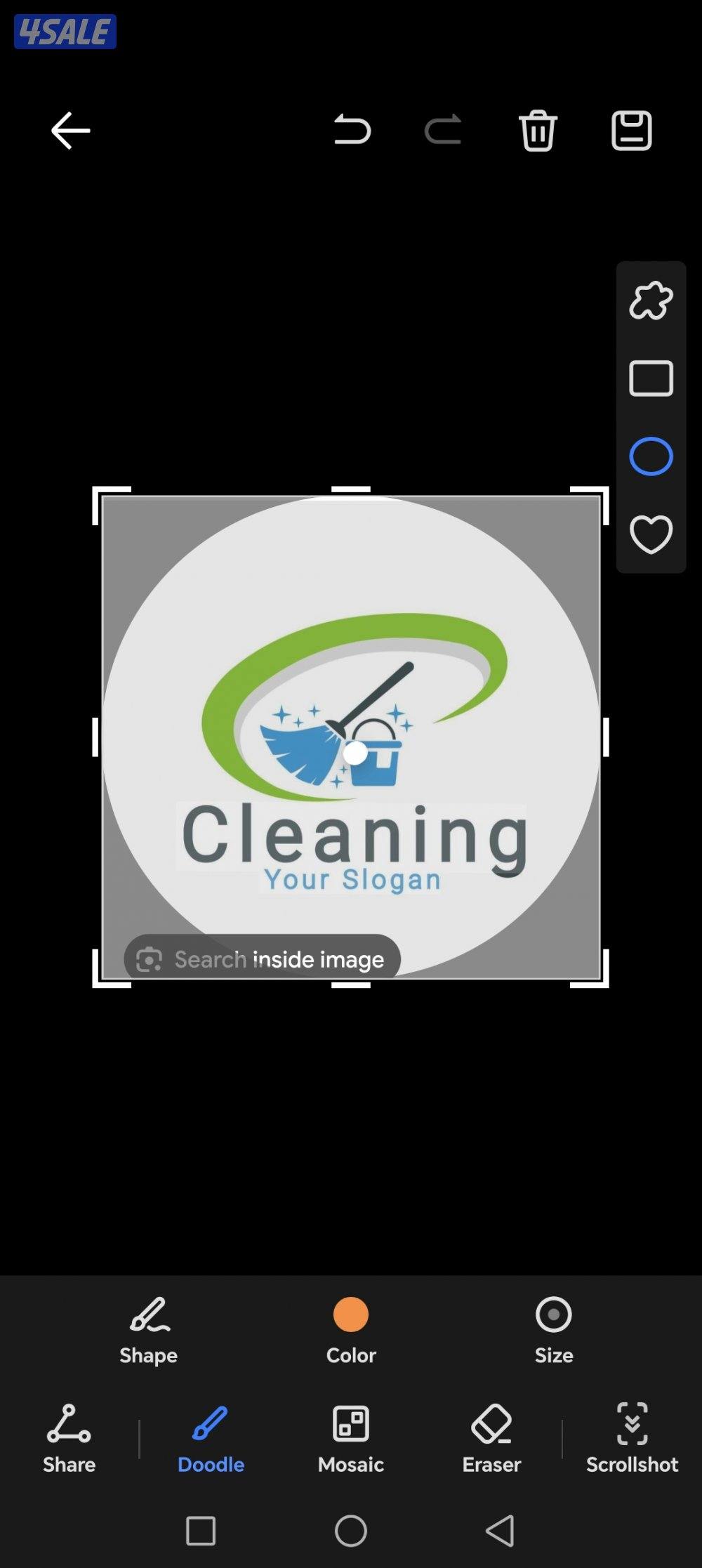 Cleansing  services2
