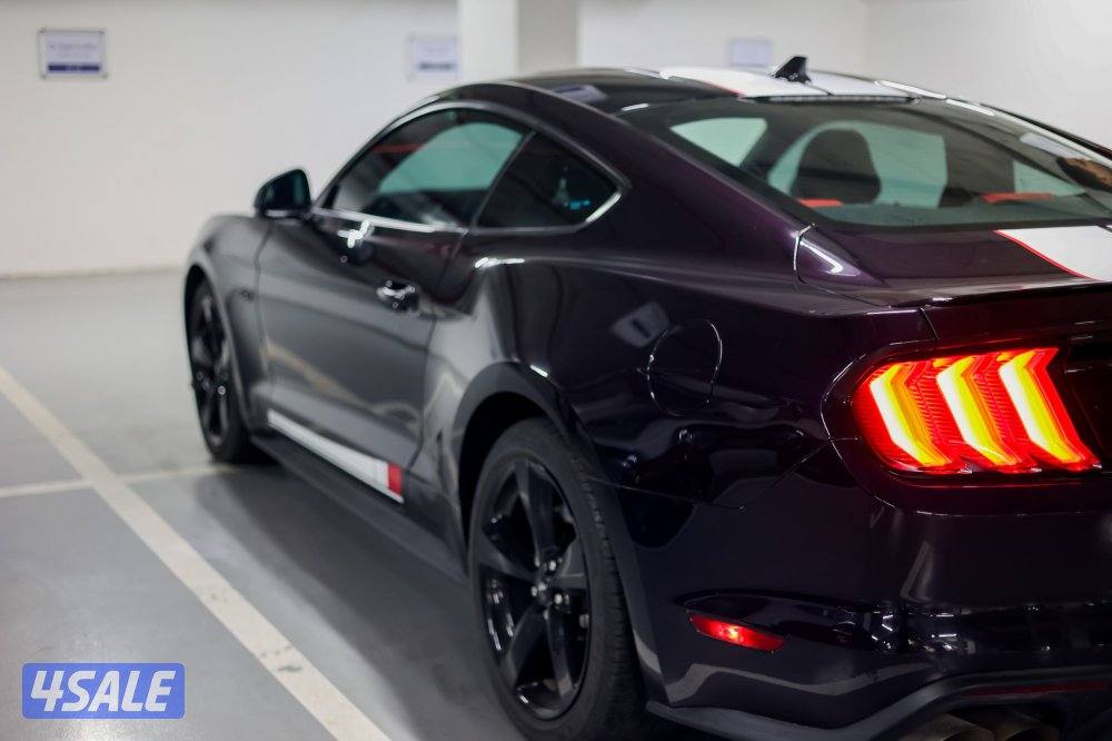 Ford -  Mustang - Two Tone - Black and Purple7