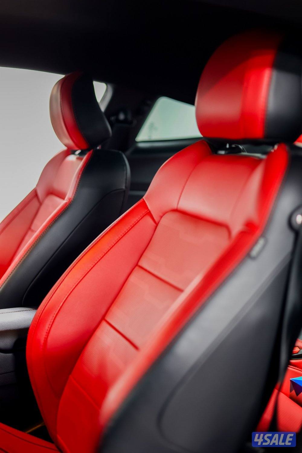 Ford -  Mustang - Two Tone - Black and Purple12