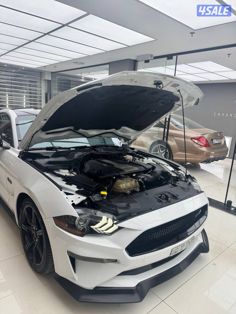 موستنق 2019 عداد 144 ستوك شرط الفحص بلكامل اذا في شي الفحص مرجوع1