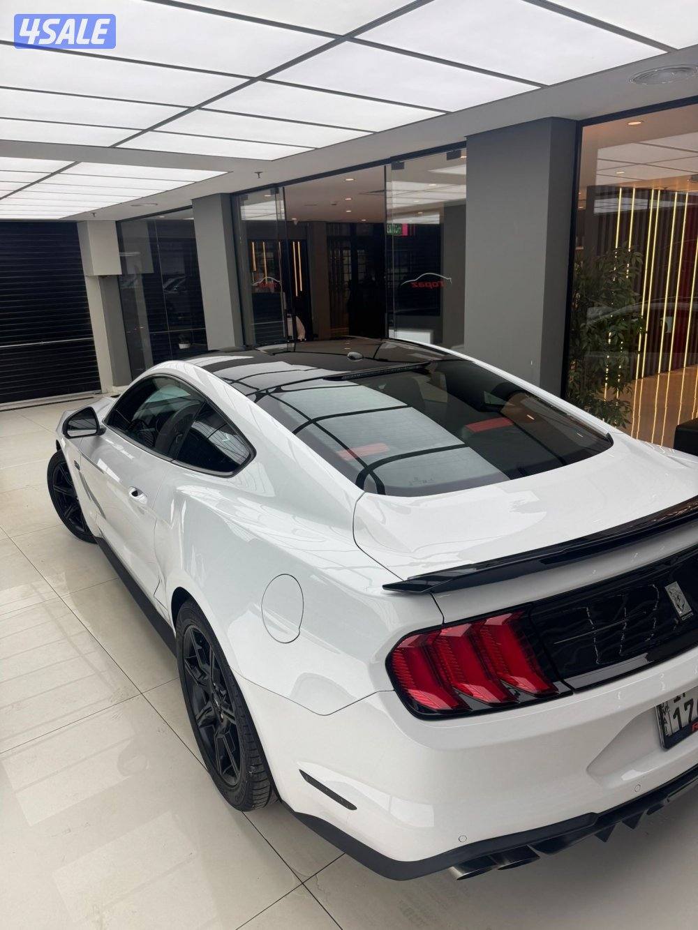 موستنق 2019 عداد 144 ستوك شرط الفحص بلكامل اذا في شي الفحص مرجوع8